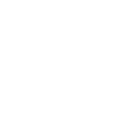 Benelli